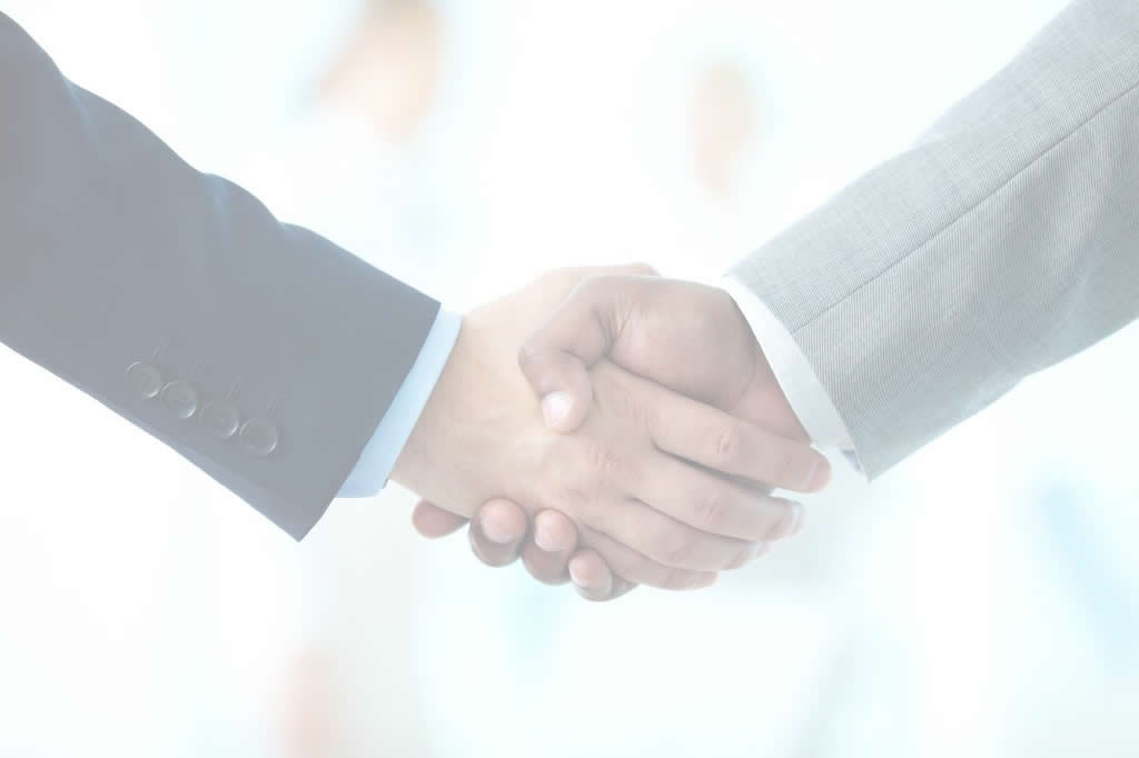 Salesmen shaking hands